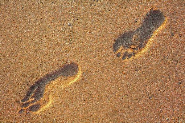 Två Fotsteg Röda Havet Sand — Stockfoto