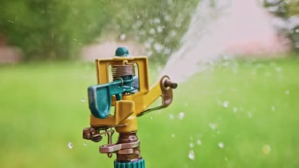 Stativ Sprinkler Vattna Gräsmattan Bakgrund Grönt Gräs Slow Motion — Stockvideo