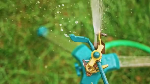 Bovenaanzicht van tuin sprinkler zoet water verspreid via het gras — Stockvideo