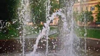 Park arka plan gökyüzü kadar alttan yavaş çekimde ağaçta ile havuza taşıma