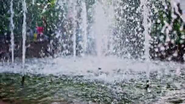 Lagoa da fonte com água de córregos caindo — Vídeo de Stock