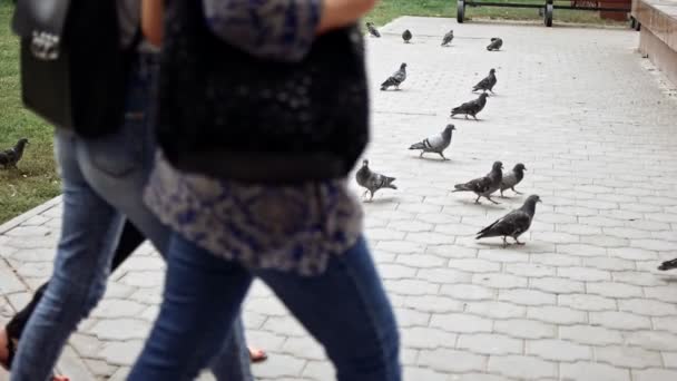 Menschen gehen in Zeitlupe vor Tauben auf Gehweg