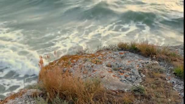 Agua salpicando contra rocas con hierba — Vídeo de stock