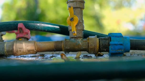 Système d'arrosage dans le jardin avec fuite d'eau — Video