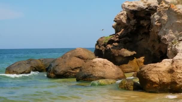 Rocas en la orilla del mar en un día soleado — Vídeo de stock