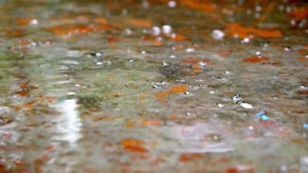 Rain drops splashing on floor — Stock Video