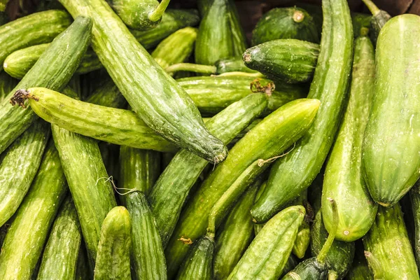 Fresh cucumbers in farmers market Royalty Free Stock Photos