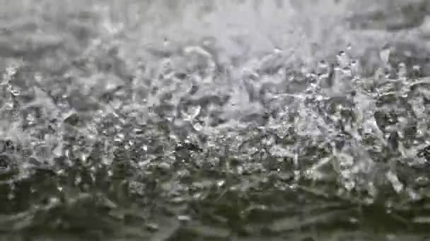 인공 연못 표면에 떨어지는 물방울의 느린 움직임 — 비디오