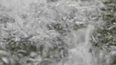Gölet yüzeyine düşen su damlalarının gerçek zamanlı hareketi