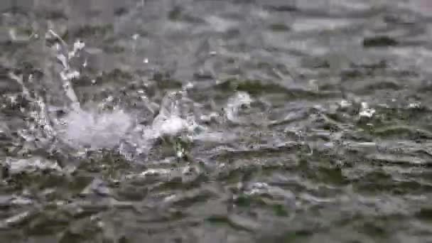 샘에서 물을 퍼내는 모습 — 비디오