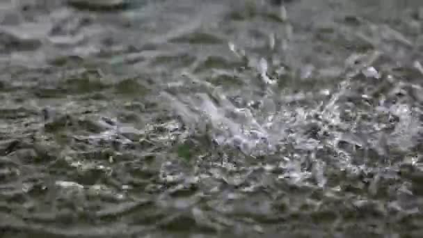 Espalhando água na lagoa da fonte — Vídeo de Stock