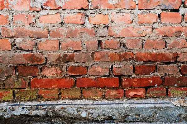 Brick wall background with concrete slub beneath — Stock Photo, Image