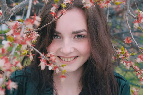 Happy girl hide her smiling face in branches of blooming cherry of apricot — Stock Photo, Image