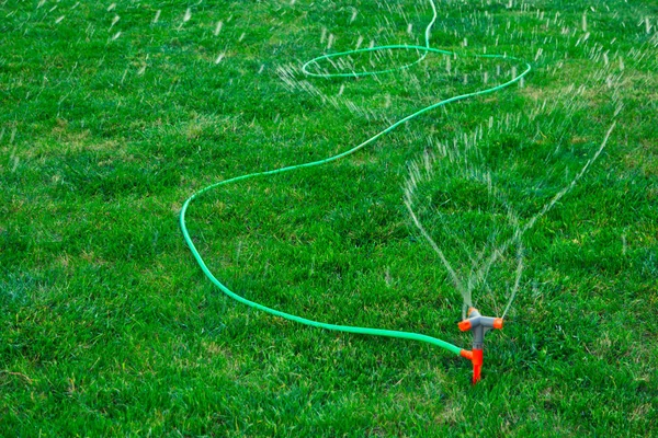 Tuin Sprinkler aangesloten op lange groene slang drenken gras — Stockfoto