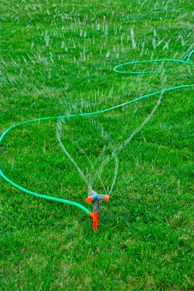 Sprinkler system watering the backyard — Stock Photo, Image