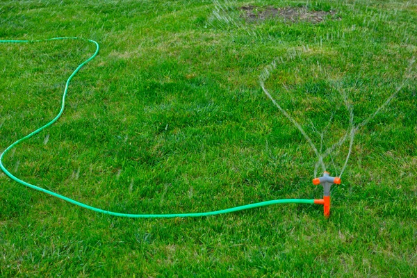 Sprinkler systeem drenken de achtertuin met wazige waterdruppels vliegen in een lucht en slang liggend op gras — Stockfoto
