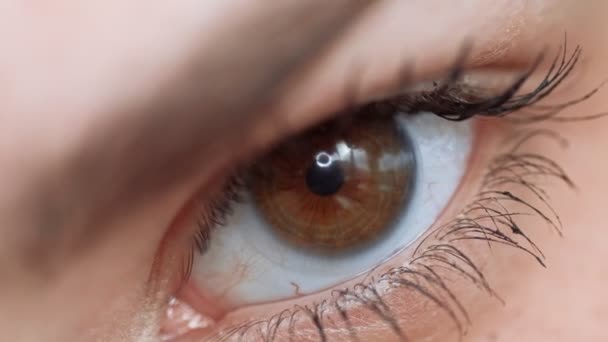 Velmi detailní záběr ženského oka s řasami — Stock video