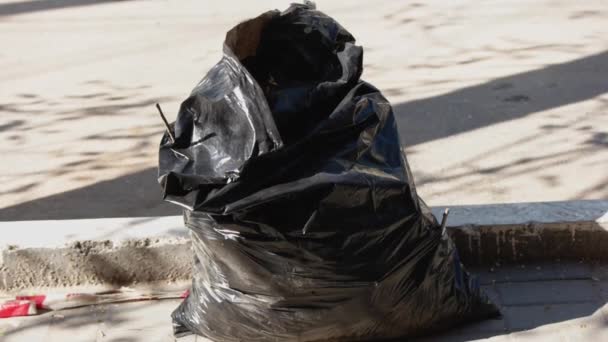 Bolsa de basura negra en la carretera — Vídeos de Stock