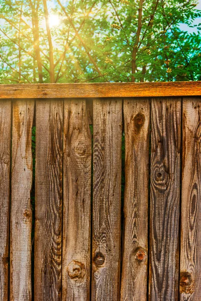 Valla erosionada con el sol brillando a través de ramas de árboles — Foto de Stock