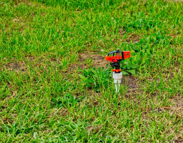 Arroseur solitaire dans l'herbe en mauvais état — Photo