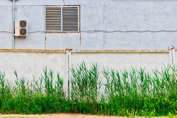 Edificio industrial detrás de la pared con lengüeta crece delante de —  Fotos de Stock