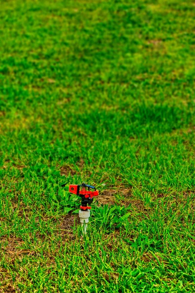 Lonely lawn sprinkler mounted in the grass — Stock Photo, Image