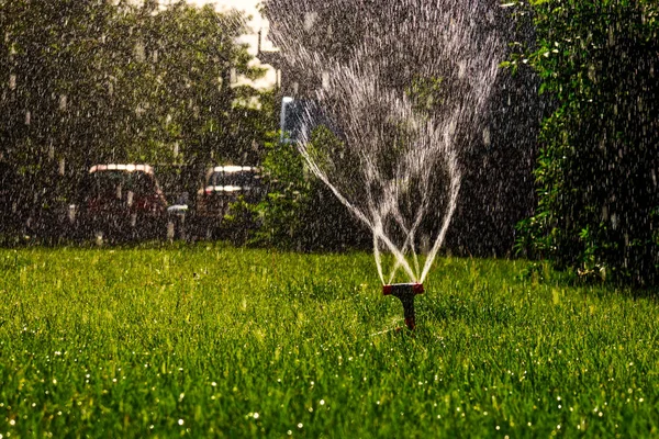 Lawn sprinkler dolgozik homályos víz a levegőben, sok copyspace — Stock Fotó