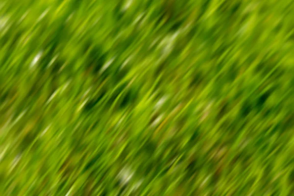 Zielony bokeh abstrakcyjne tło z ostrości z natury trawy — Zdjęcie stockowe