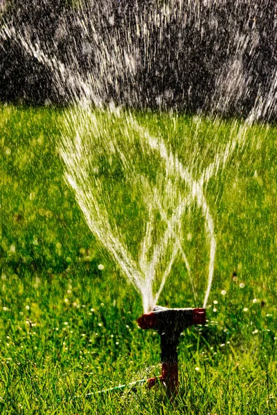 Sistema agrícola de aspersores de césped de trabajo. El agua borrosa vuela en el aire — Foto de Stock