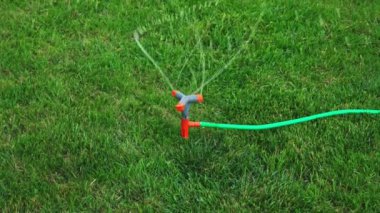 Otomatik Sprinkler yeşil çim slomo çekim üzerinde çalışıyor