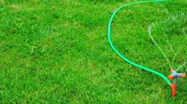 Yeşil çim kaydırma çekim üzerinde çalışan fıskiye