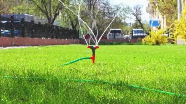 Спринклер працює над зеленим газоном b-roll — стокове відео