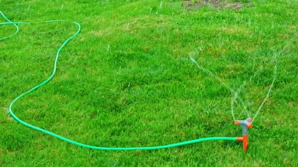 Pan shot of lawn sprinkler head working in slomo — Stock Video