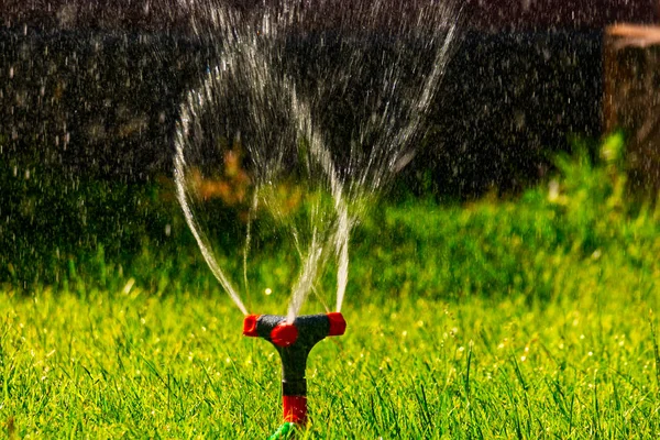 Leder af græsplæne sprinkler kunstvanding system med strøm af vand flyve i en luft med copyspace - Stock-foto