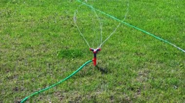 Çim sprinkler sulama