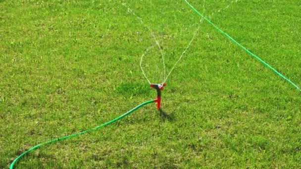 芝生のスプリンクラー灌漑、緑色の芝生の周りのすべての水を広げる自動ヘッドを回す — ストック動画