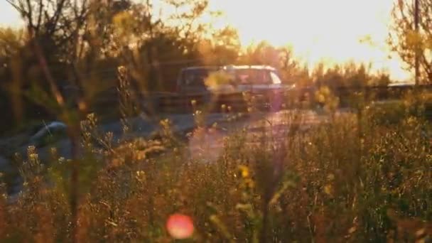Naplemente jelenet vadon élő fű az előtérben és a parkoló autó a háttérben — Stock videók