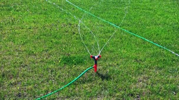 Spritzer fliegen in Zeitlupe über den Rasensprenger — Stockvideo