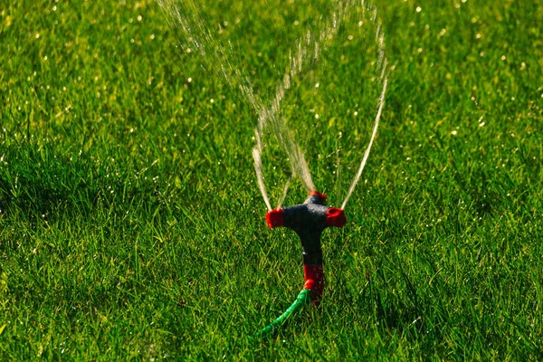 El agua que se extiende por el rociador del césped, las gotas de agua congeladas en un aire —  Fotos de Stock