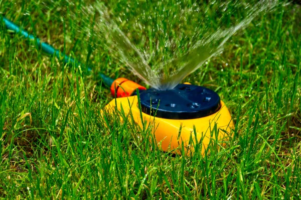 Aspersor de jardín de color amarillo trabajando en el césped — Foto de Stock