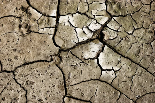 Terreno agrietado desde arriba, suelo árido, grieta de barro. Las grietas en la superficie de la tierra se ven alteradas por la contracción del lodo debido al estado de sequía del tiempo — Foto de Stock