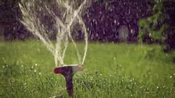 Close-up van werkende gazon sprinkler Slow Motion backlit — Stockvideo