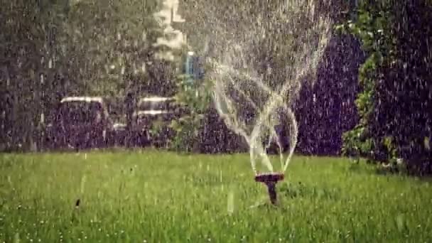 Closeup of working lawn sprinkler in the front yard slow motion backlit — Stock Video