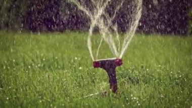 İplik çim sprinkler arkadan aydınlatmalı slomo