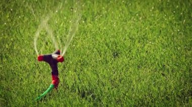 Yaz günü worling çim fıskiye Panning atış