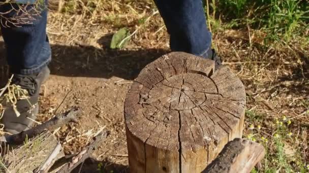 Kid work with wood-chopper ax on farm — Stock Video