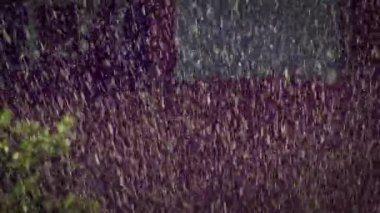 Otomatik Çim Fıskiyesi Green Grass 'ın üzerine püskürtülüyor. Slow Motion 120 fps 'de. Bahçe sulama sistemi yazın çimleri suluyor. Su damlaları ve su damlaları havada uçuşuyor.