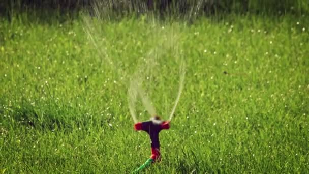 庭の灌漑 植物や芝生のための自動回転スプリンクラー散水システム スローモーション120Fps — ストック動画