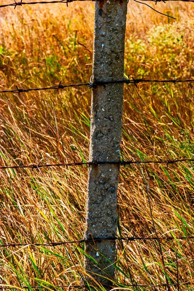 Wiejski ogrodzenie drutu kolczowego w gorącym dniu lata — Zdjęcie stockowe