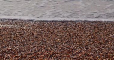 SeaShells Kum ile Sea Shore Beach. Sörf dalgaları
